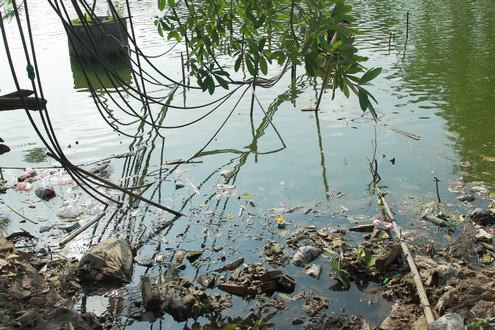 Hà Nội: "Khát" nước sạch, hàng nghìn hộ dân dùng nước ao tù