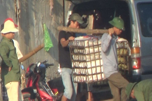 Clip: Buôn lậu chuyên nghiệp, công khai như...xã hội đen ở cửa khẩu Móng Cái