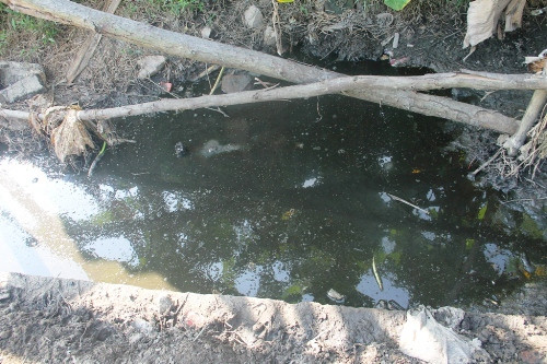 Lập Thạch-Vĩnh Phúc: Phân hữu cơ rò rỉ chỉ là sự cố ngoài ý muốn