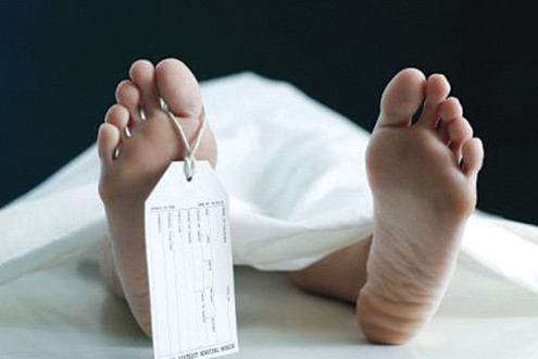 Chuyên gia pháp y tham gia phá án (Kỳ 9): Sự thật cái chết của cụ ông gần thất thập thích "víu cành hái búp"