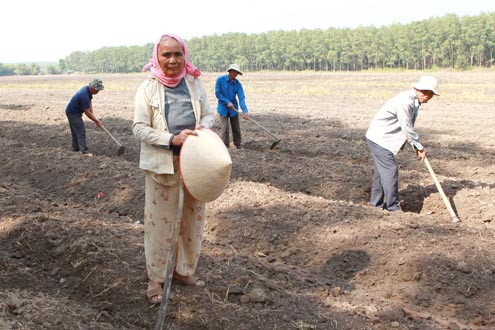 Châu Thành, Tây Ninh: Khó thi hành án vì hơn 8000m2 đất dôi dư