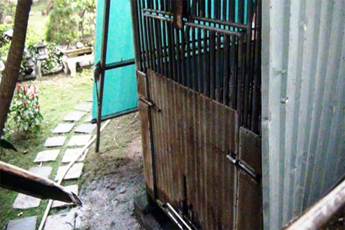 Cánh tay của bé trai bị gấu cắn nát không thể nối lại được