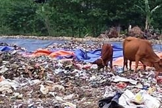 Thanh Hóa: Người dân lo sợ vì việc xử lý rác thải không đúng quy trình