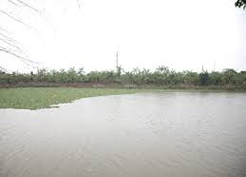 Sơn La: Đánh cá bằng xung điện, hai vợ chồng tử vong