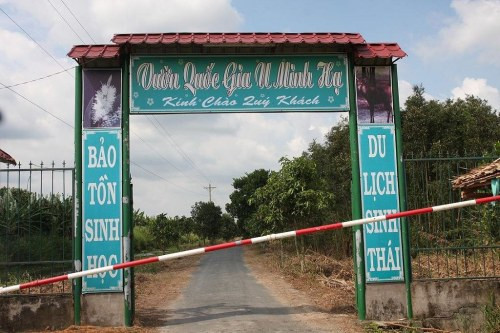 Cà Mau: Tạm đóng cửa rừng tràm U Minh Hạ