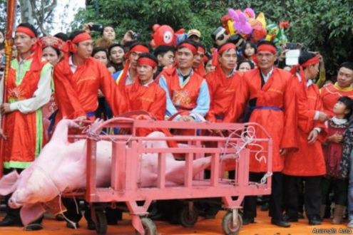 GS.TS Đặng Nguyên Anh: Lễ hội chém lợn - “Không thể dùng bạo lực đối với một con vật để lấy may”