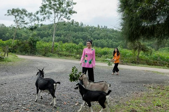 Nghề nuôi dê ở Phú Yên