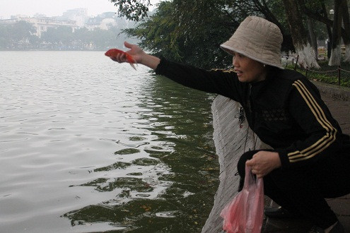 Người Hà Nội "đội mưa" thả cá chép ngày “ông Công, ông Táo” về trời