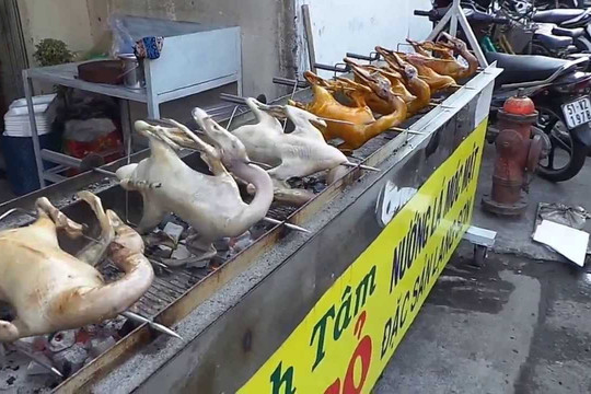 Hà Nội: Tịch thu hơn 300 con vịt không rõ nguồn gốc