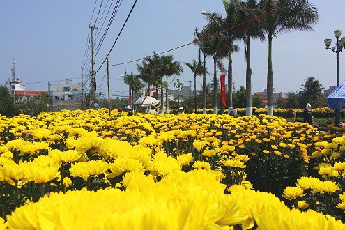 Thành phố Tuy Hòa vào xuân