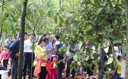 Xôn xao về "rắn thần" xuất hiện ở đền Nưa - Am Tiên