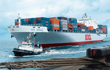 Thanh tra việc thu phụ phí của hãng tàu nước ngoài
