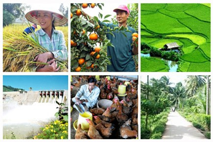 Lập BCĐ liên ngành Tái cơ cấu ngành nông nghiệp