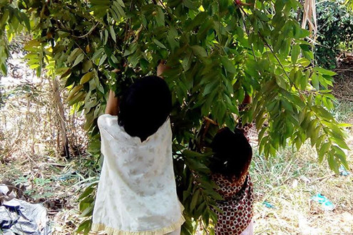 Vợ bỏ đi, chồng xâm hại cả hai con gái ruột