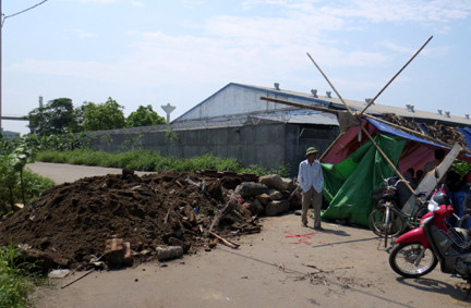 Lào Cai: Thanh tra kéo dài, doanh nghiệp...chết