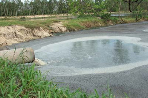 Lập hành lang bảo vệ nguồn nước phòng nguy cơ ô nhiễm