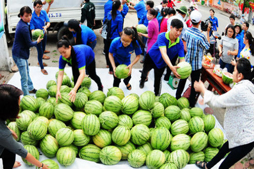 Vụ giải cứu dưa hấu: Hãy nhìn sự việc bằng tâm trong sáng