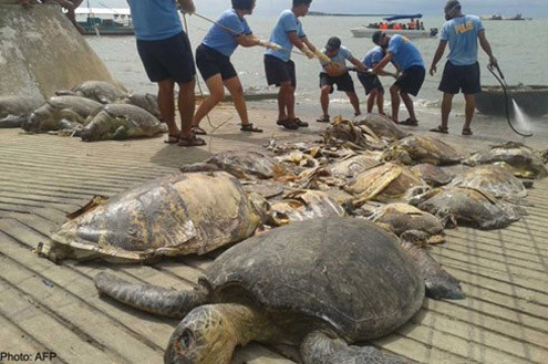 Philippines thả 9 ngư dân Trung Quốc