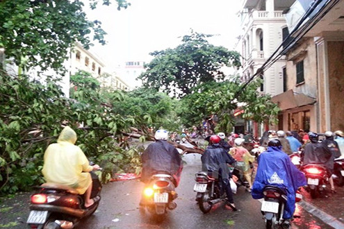 Mưa dông tiếp diễn trong chiều tối nay, cần đề phòng tố lốc