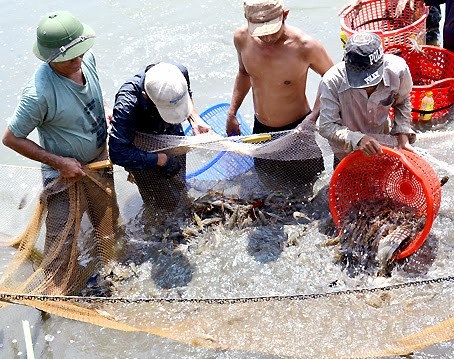 Cao Lãnh, Đồng Tháp: Dấu hiệu dân sự hóa một vụ án hình sự