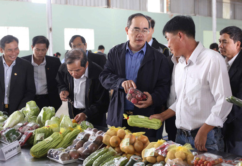 Chủ tịch Ủy ban Trung ương MTTQ Việt Nam khảo sát về hoạt động kinh tế tập thể, kinh tế hợp tác tại Lâm Đồng