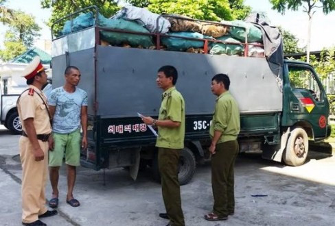 Tạm giữ xe tải vận chuyển 3,6 tấn xương động vật hôi thối
