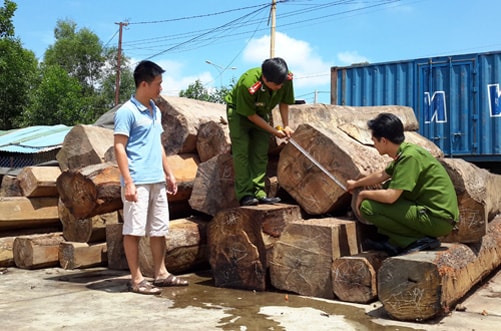 Bắt tạm giam đối tượng làm giả hồ sơ để vận chuyển gỗ lậu