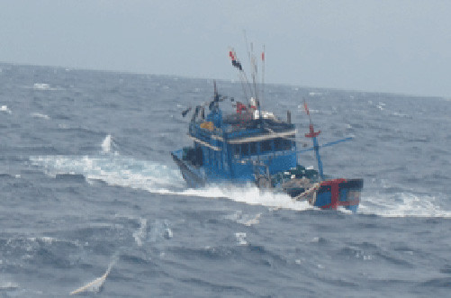 Va chạm giữa tàu vận tải và tàu đánh cá, hai ngư dân mất tích