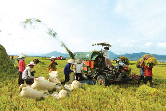 Chương trình xây dựng nông thôn mới: Cần huy động các nguồn lực xã hội