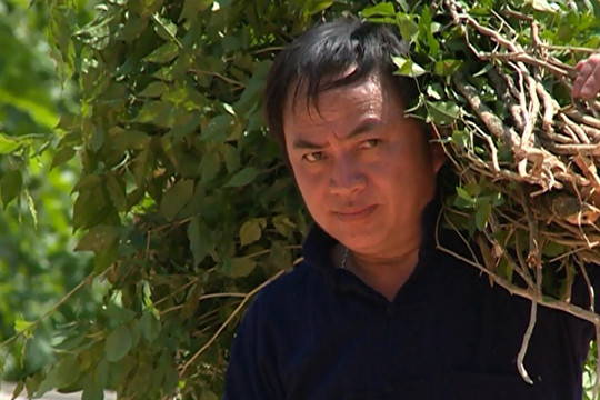 "Thần y" nơi biên giới