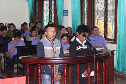 Hành hung bảo vệ để cướp gỗ rừng phòng hộ