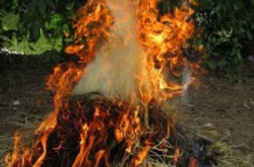 Phú Yên: Đốt đống rơm gây cháy nhà, hai anh em họ tử vong