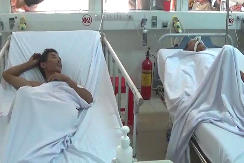 Nghệ An: 8 người ăn phải cá nóc độc đã qua cơn nguy kịch