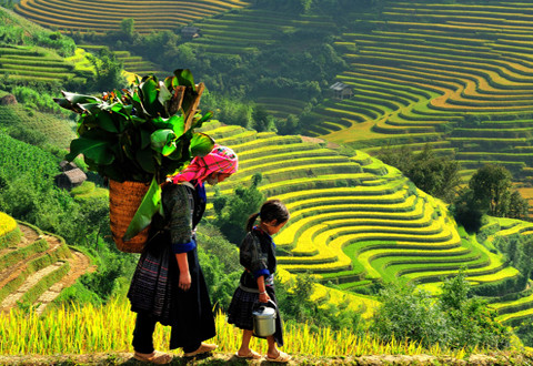 Gợi ý những địa điểm du lịch Tết Dương lịch