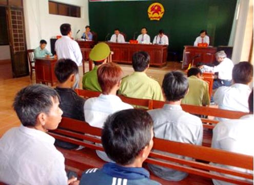 Vụ án “Huỷ hoại rừng” ở Ba Tơ, Quảng Ngãi: Sắp được đưa ra xét xử lại