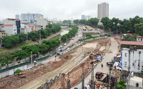 Hà Nội: Hàng chục cây xà cừ cổ thụ lại được chặt hạ để làm đường