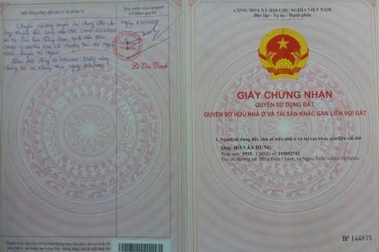 Quảng Ngãi: Đất được cấp sổ đỏ bị người khác chiếm giữ trái pháp luật