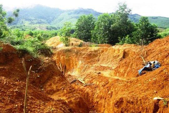 Truy quét vàng tặc ở Bồng Miêu