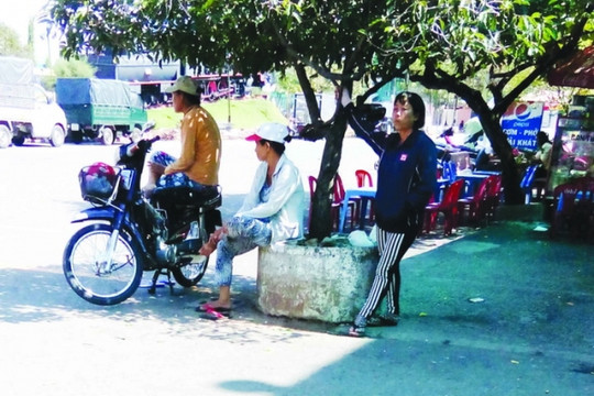 Cò vé tàu vẫn lộng hành mùa Tết
