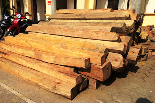 Hà Tĩnh: Triệt phá đường dây vận chuyển gỗ lậu