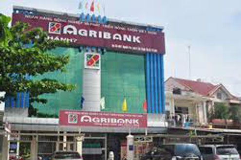 Agribank năm 2016: “Chắt chiu thành tựu, vững bước tương lai”