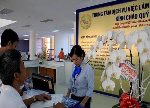 Trung tâm giới thiệu việc làm tại TP Cần Thơ chính thức đi vào hoạt động