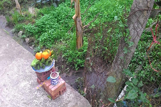 Người phụ nữ bị đâm hàng chục nhát dao tại ruộng rau