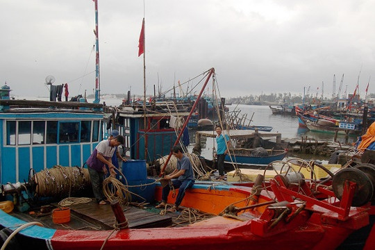 Mang kỳ vọng theo những chuyến ra khơi trước Tết
