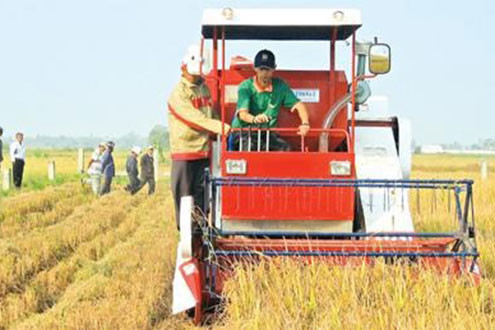 Xây dựng hạ tầng phục vụ tái cơ cấu nông nghiệp vùng Tứ giác Long Xuyên