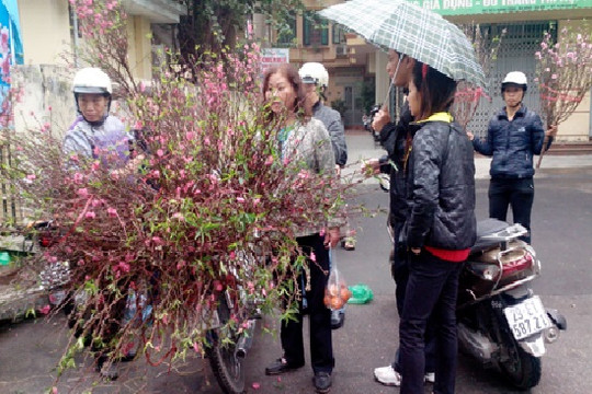 Dự báo thời tiết ngày 31/1: Rét đậm trước Tết, Bắc Bộ có nơi dưới 9 độ C
