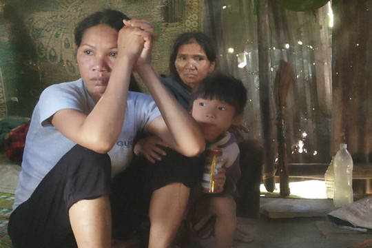 Không có chất độc trong gạo hỗ trợ Tết