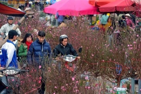 Dự báo thời tiết ngày 02/2: Rét đậm rét hại diện rộng, vùng núi cao có nơi dưới 3 độ C