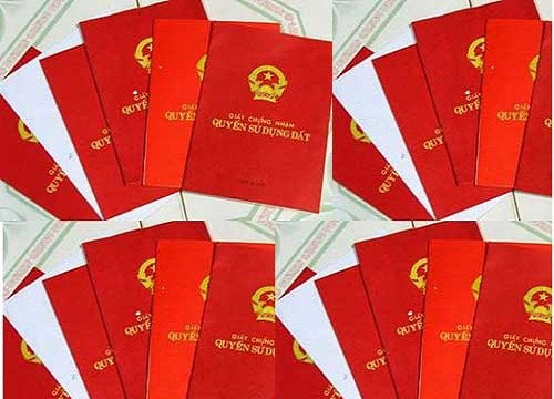Nữ chuyên viên tiếp dân lừa cấp số đỏ chiếm đoạt gần 900 triệu đồng
