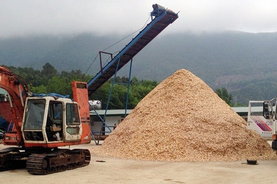 Thanh Hóa: “Nở rộ” cơ sở chế biến gỗ dăm không phép